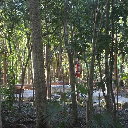 Glamping Mayan Glam Тулум Екстер'єр фото