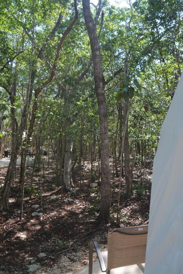 Glamping Mayan Glam Тулум Екстер'єр фото