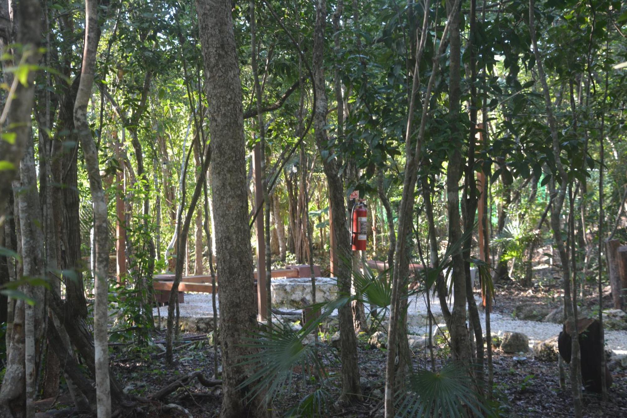 Glamping Mayan Glam Тулум Екстер'єр фото
